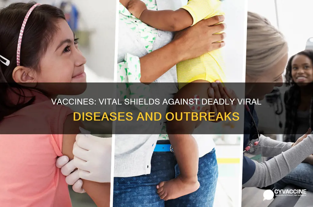 how are vaccines important in preventing viral diseases