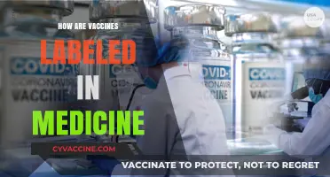 Understanding Vaccine Labeling: A Comprehensive Guide to Medical Nomenclature