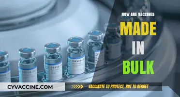 Bulk Vaccine Production: A Comprehensive Guide to Manufacturing Processes