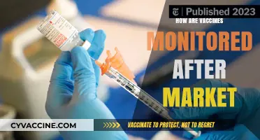 Post-Approval Vaccine Safety: How Are Vaccines Monitored After Market?