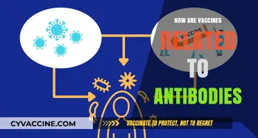 Vaccines and Antibodies: Unlocking the Science Behind Immune Protection