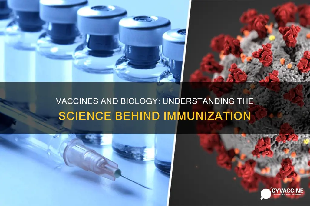 how are vaccines related to biology