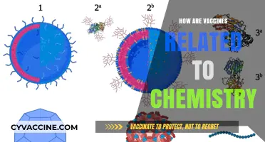 Vaccines and Chemistry: Unraveling the Molecular Science Behind Immunization