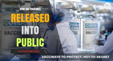 From Lab to Public: The Vaccine Release Process Explained