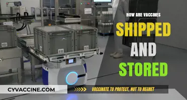 Vaccine Logistics: Shipping and Storage for Global Health Protection