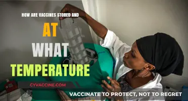 Vaccine Storage Essentials: Optimal Temperatures for Safety and Efficacy