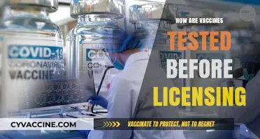 Ensuring Safety: The Rigorous Testing Process Behind Vaccine Licensing