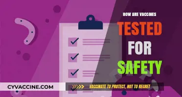 Ensuring Vaccine Safety: Rigorous Testing Processes Explained