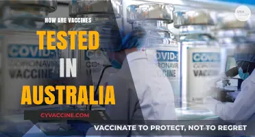 Ensuring Safety: The Rigorous Vaccine Testing Process in Australia