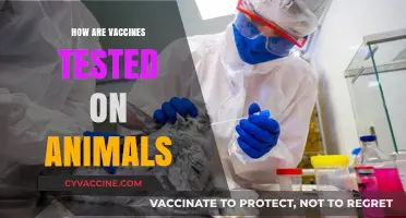 Animal Testing in Vaccine Development: Ethical Concerns and Scientific Necessity