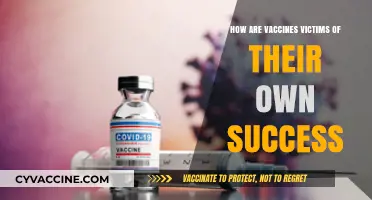 Vaccines' Success Fuels Misconceptions: How Triumph Breeds Complacency
