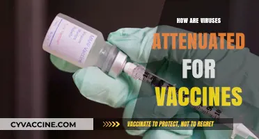 Understanding Vaccine Development: How Viruses Are Attenuated for Safe Immunization