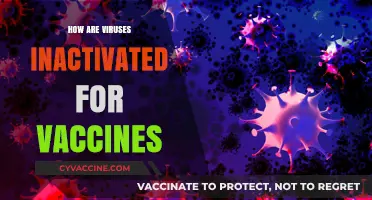 Understanding Vaccine Safety: Methods to Inactivate Viruses for Immunization