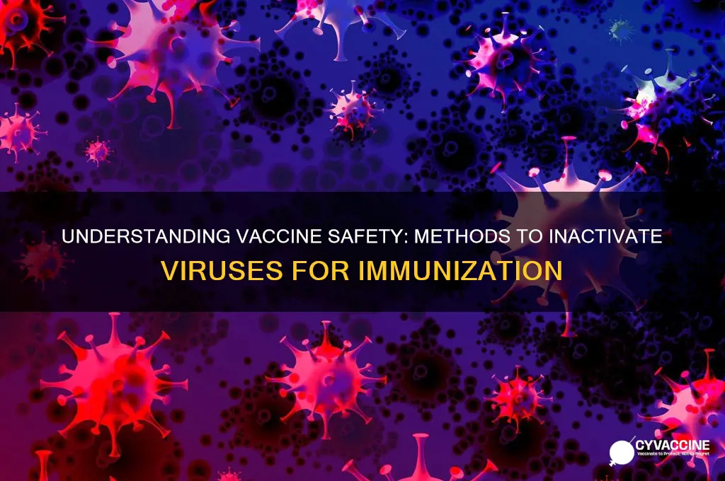 how are viruses inactivated for vaccines