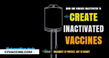 Unraveling the Science: How Viruses Are Inactivated for Vaccines