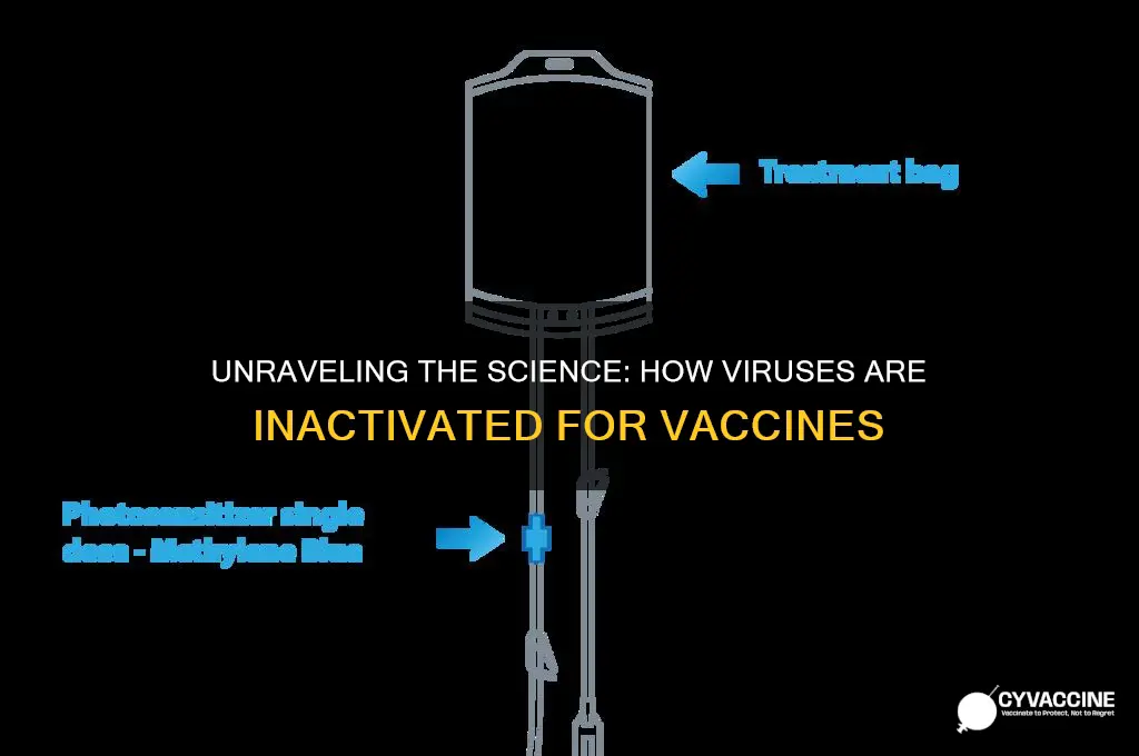 how are viruses inactivated to create inactivated vaccines
