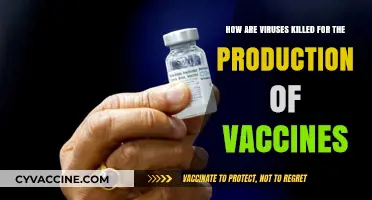 How Viruses Are Neutralized for Safe and Effective Vaccine Production