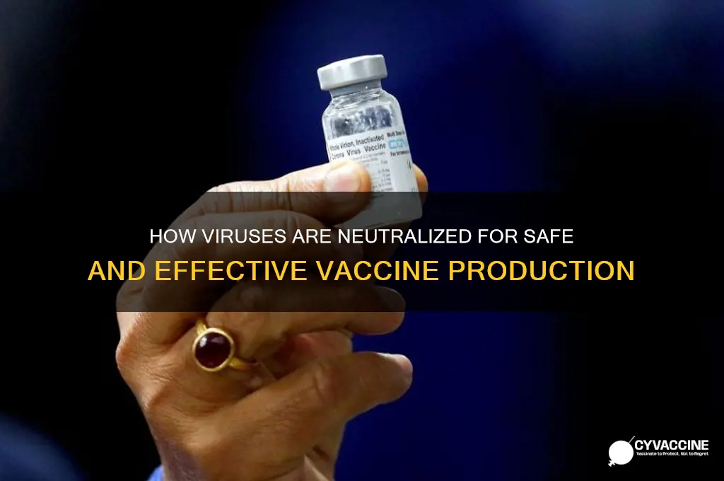 how are viruses killed for the production of vaccines