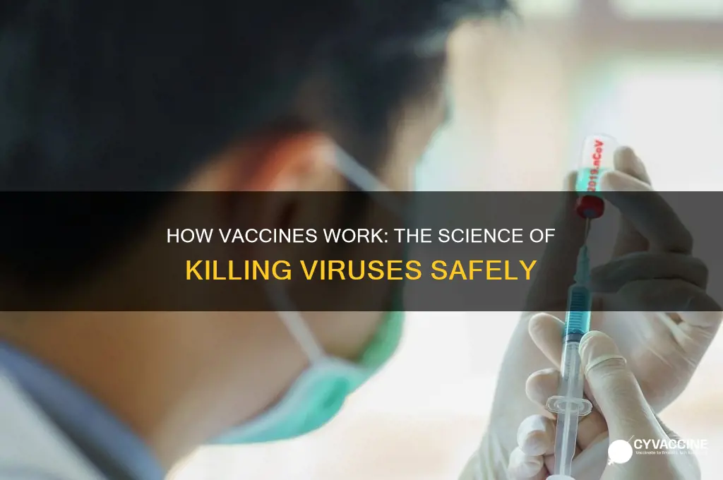 how are viruses killed for vaccines