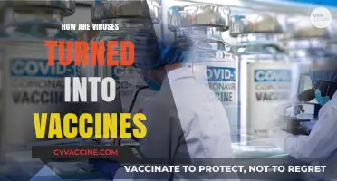 From Viruses to Vaccines: Unraveling the Science Behind Immunization