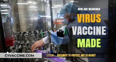 Creating Weakened Virus Vaccines: A Step-by-Step Manufacturing Process