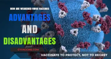 Weakened Virus Vaccines: Balancing Benefits and Risks for Immunity