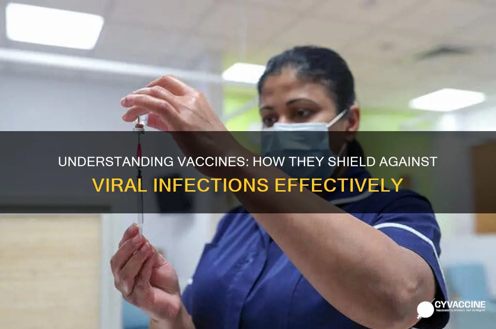how arehow does a vaccination prevent a viral illness