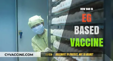 The Safety and Efficacy of Egg-Based Vaccines: Debunking Myths