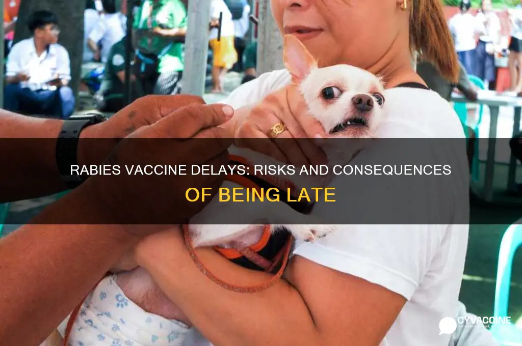 how bad is it to be late for rabies vaccine