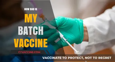 How Bad is My Batch Vaccine? Debunking Myths and Facts