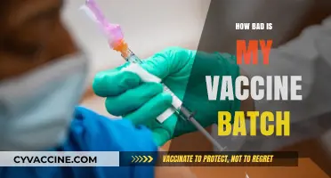 Is Your Vaccine Batch Safe? How to Check and What to Know