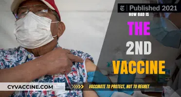 Is the Second COVID-19 Vaccine Dose Really That Harsh?