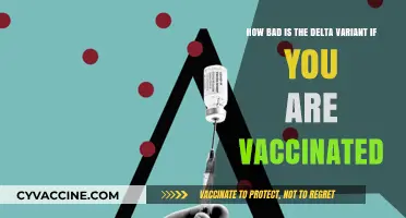 Delta Variant Risks: What Vaccinated Individuals Need to Know