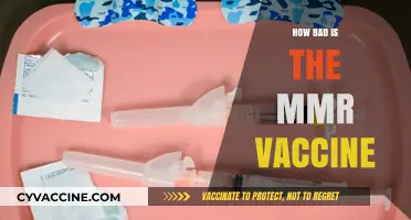 MMR Vaccine Safety: Separating Myths from Facts and Risks