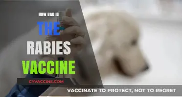 Is the Rabies Vaccine Safe? Debunking Myths and Concerns