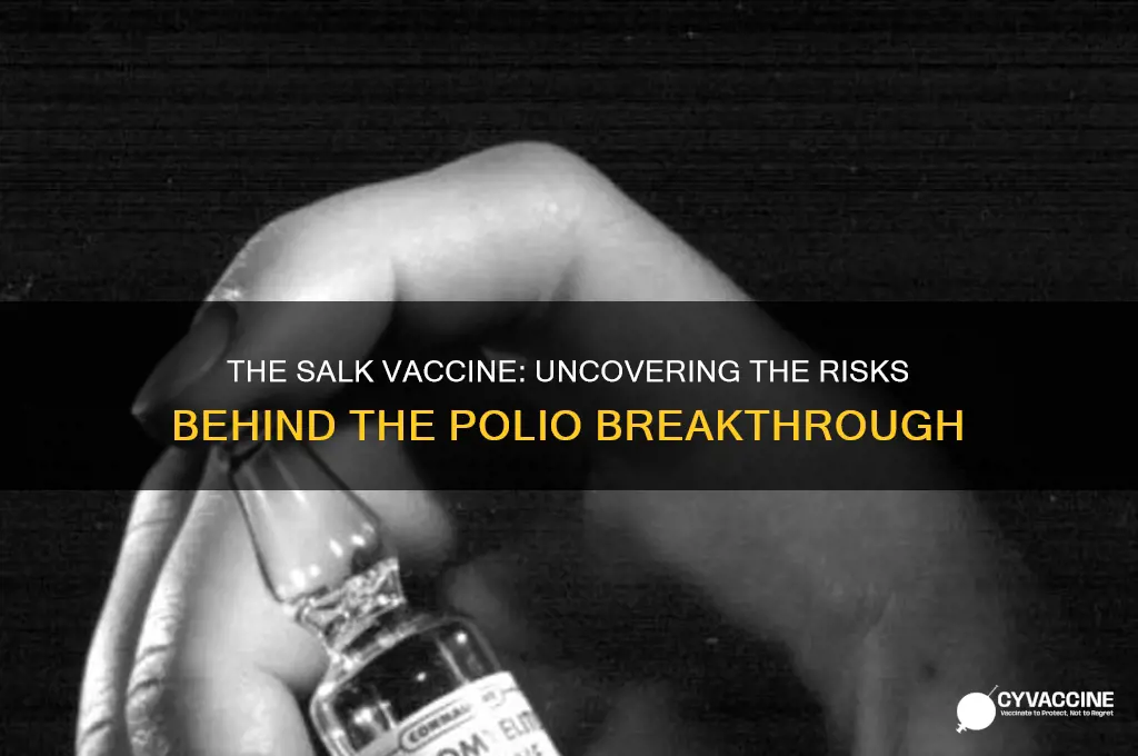 how big a risk was the salk vaccine