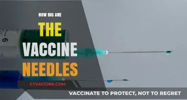 Vaccine Needle Sizes: Understanding the Lengths Used in Immunizations