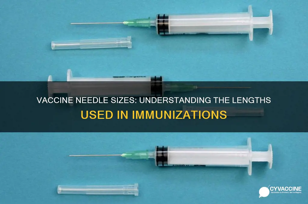 how big are the vaccine needles