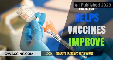 Big Data Revolutionizes Vaccine Development, Efficacy, and Global Health Impact