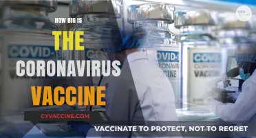 Understanding the Size and Scale of the Coronavirus Vaccine