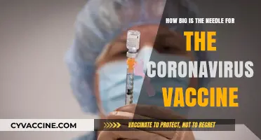 Coronavirus Vaccine Needle Size: What to Expect During Your Shot
