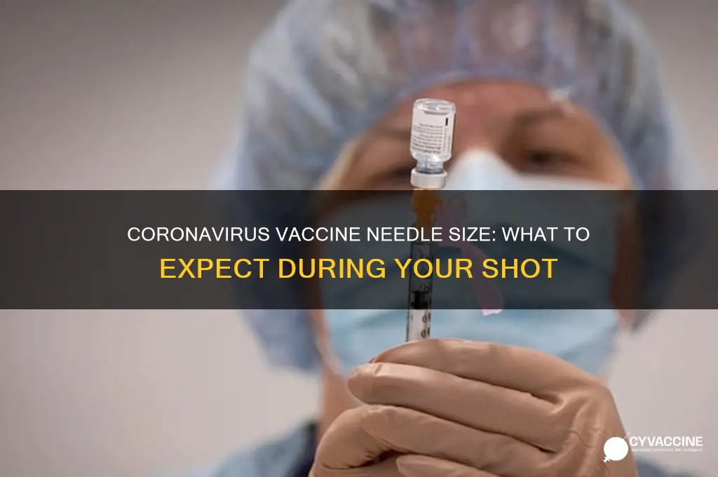 how big is the needle for the coronavirus vaccine