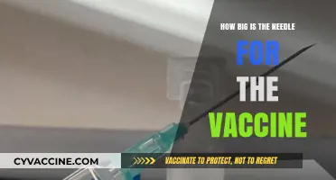 Vaccine Needle Size: What to Expect During Your Shot