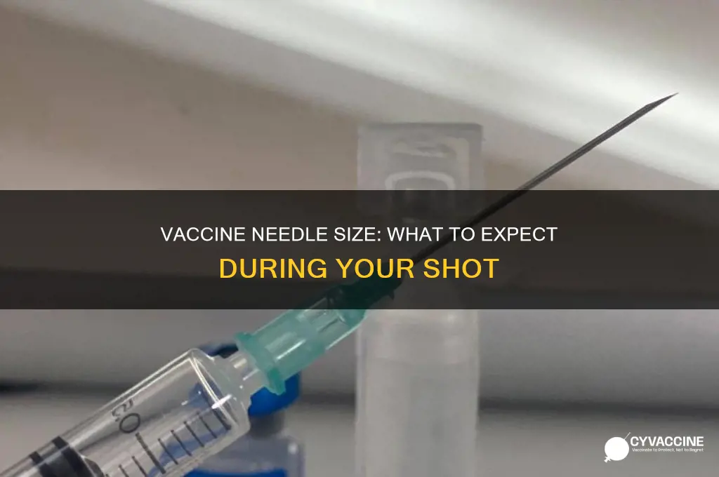 how big is the needle for the vaccine