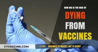 Vaccine Safety: Debunking Myths About Fatal Risks and Side Effects
