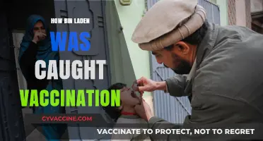 Unveiling the Secret: Bin Laden's Capture Through a Vaccination Scheme