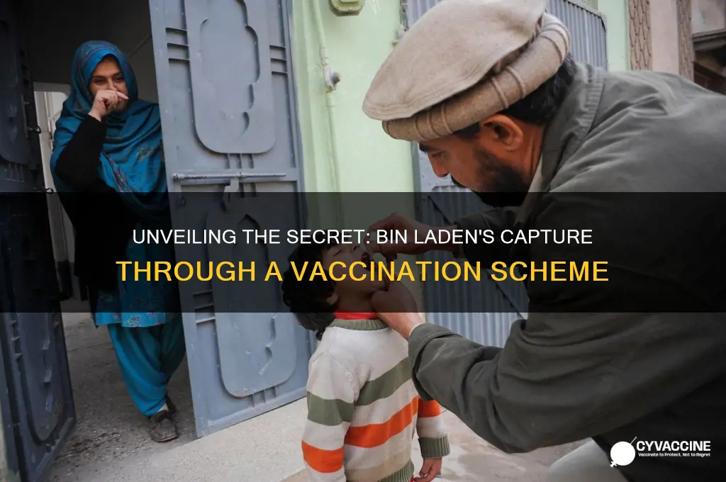 how bin laden was caught vaccination