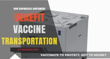 Bioprocess Containers: Revolutionizing Safe and Efficient Vaccine Transportation