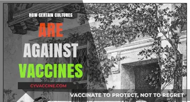 Cultural Resistance to Vaccines: Unraveling Beliefs, Fears, and Misconceptions