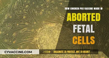 Chicken Pox Vaccine: The Role of Aborted Fetal Cells Explained
